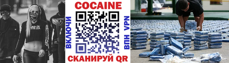 Кокаин Fish Scale  Купить закладки  Елабуга 