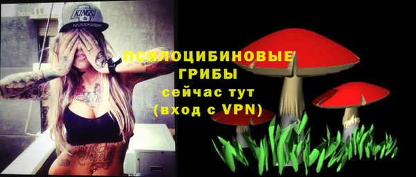 apvp Магас