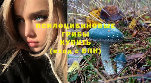 ешки Липки