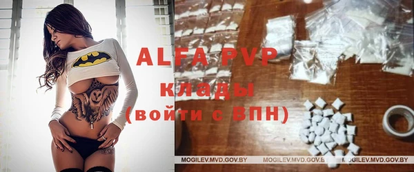 apvp Магас