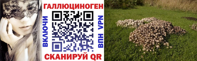 Галлюциногенные грибы MAGIC MUSHROOMS  Купить закладки  Елабуга 